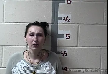 Mugshot of KANDISE NORRIS booked in Somerset County, Maryland on April 23, 2026