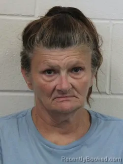Mugshot of CHERYL LYNN GRAVENOR booked in Wicomico County, Maryland on July 14, 2026