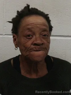 Mugshot of Janet Denise Burch booked in Wicomico County, Maryland on October 5, 2026