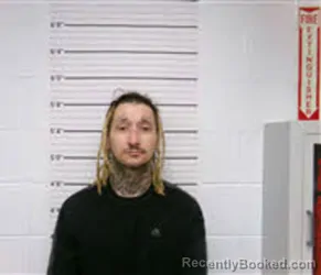 Mugshot of DANIEL MERCER WATSON