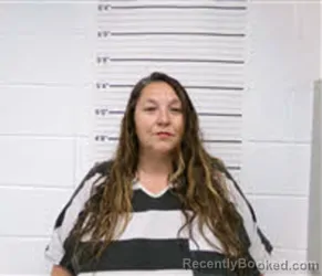 Mugshot of DANA NICOLE LEE booked in Pamlico County, North Carolina on June 1, 2026