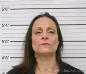 Mugshot of LYNETTE DAWN CLARK