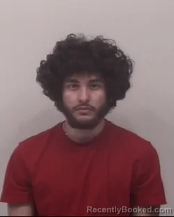 Mugshot of ANTHONY VINCENT ESTRADA