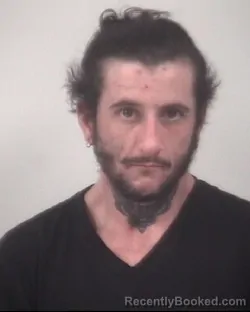 Mugshot of SHANNON LEE JOHNSON