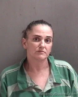 Mugshot of HEATHER LYN PIZZELLI