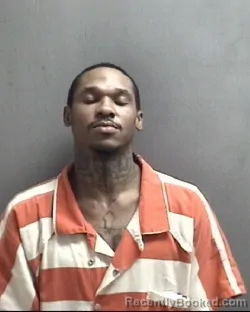 Mugshot of DEVONTE MAURICE WILSON