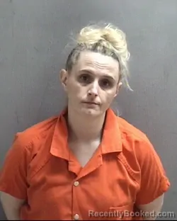 Mugshot of AMY LYNN PERKINS