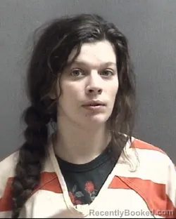 Mugshot of HAYLEE ANNE BOSEMAN