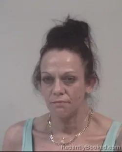 Mugshot of DANIELLE CORINNE HARDY