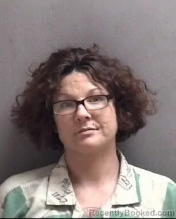Mugshot of JAMIE LYNN FERRELL