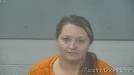 Mugshot of Amanda Lynn Meese booked in Alpena County, Michigan on September 23, 2026