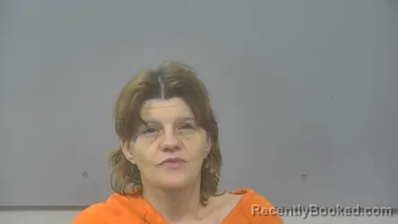 Mugshot of BRANDY COLLEEN BOWEN booked in Alpena County, Michigan on April 3, 2026