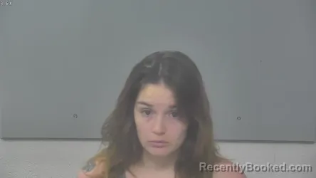 Mugshot of BRITTANY LYNN FERRELL booked in Alpena County, Michigan on August 3, 2026