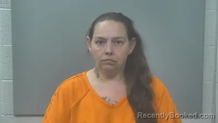 Mugshot of CHRISTINA MARIE VANWORMER booked in Alpena County, Michigan on June 4, 2026