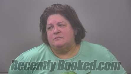 Booking photo from Alpena County, Michigan