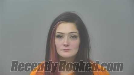 Booking photo from Alpena County, Michigan