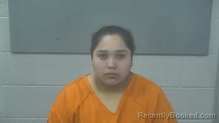 Mugshot of Esmeralda Pineda Flores booked in Alpena County, Michigan on October 20, 2026