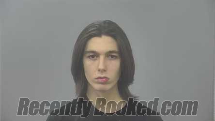 Booking photo from Alpena County, Michigan