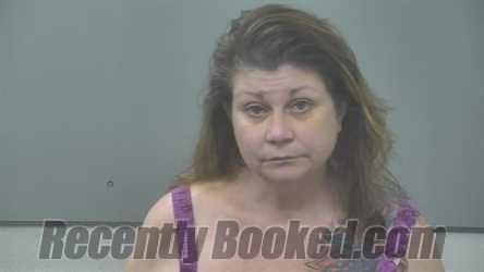 Booking photo from Alpena County, Michigan