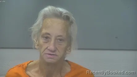 Mugshot of Julie Ann Brank booked in Alpena County, Michigan on October 8, 2026