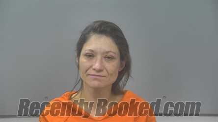 Booking photo from Alpena County, Michigan