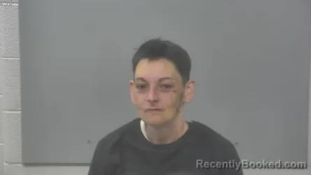 Mugshot of LAURIE LYNN BUBER booked in Alpena County, Michigan on May 30, 2026
