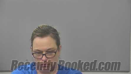Booking photo from Alpena County, Michigan