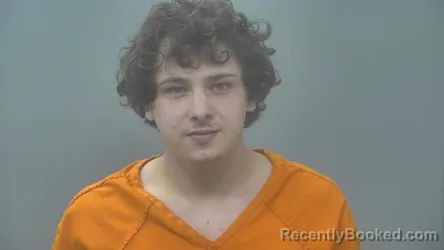 Booking photo from Alpena County, Michigan