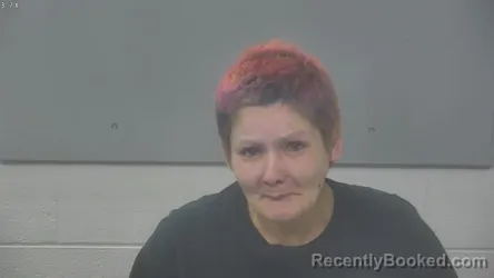Mugshot of Rebecca Jean Shay booked in Alpena County, Michigan on October 11, 2026