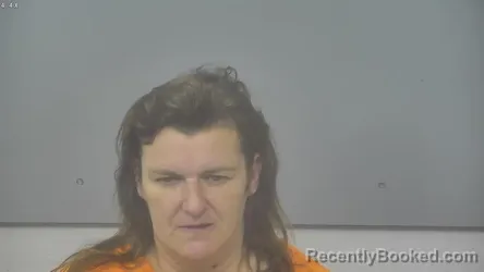 Mugshot of Stacie Lynn Elswick booked in Alpena County, Michigan on August 17, 2026