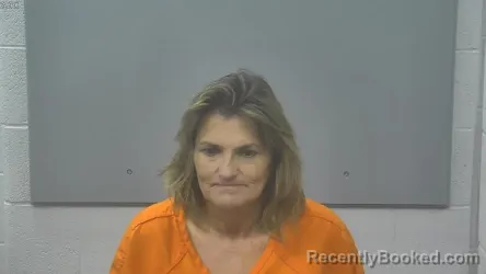 Mugshot of SUSAN LISA FERGUSON booked in Alpena County, Michigan on June 5, 2026