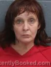 Mugshot of APRIL DAWN JACKSON booked in Pender County, North Carolina on June 25, 2026
