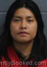 Mugshot of ARIADNE VELAZQUEZ-SOSA booked in Pender County, North Carolina on June 17, 2026