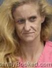 Mugshot of DANA MARIE WILSON booked in Pender County, North Carolina on July 15, 2026