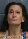 Mugshot of MICHELLE LOUISE SHINGLETON booked in Pender County, North Carolina on May 4, 2026