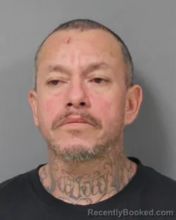 Mugshot of MERCED RODRIGUEZ