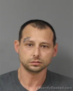 Mugshot of DANE MICHAEL FORD