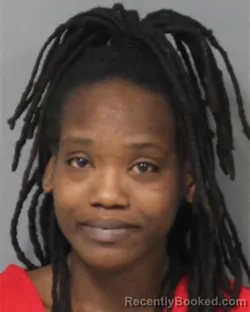 Mugshot of ANDRIANNA LASHAY JONES