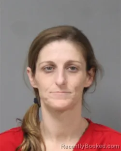 Mugshot of CARRIE JUNE DOLLINS