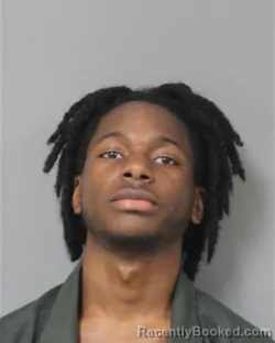 Mugshot of DEVIN T RELL LEE