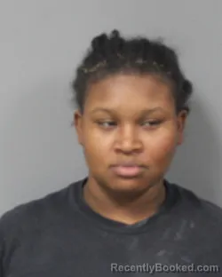 Mugshot of TYIESHIA CHIANTIA MCGILL
