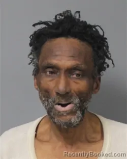 Mugshot of JIMMIE LEE BROWN