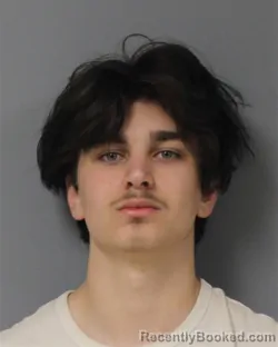 Mugshot of KYLER DEAN TANZILLO