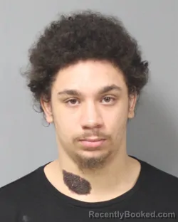 Mugshot of DAVION MARTES PRESSWOOD