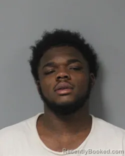 Mugshot of XZERION KASHAWN COLEMAN booked in Berrien County, Michigan on April 6, 2026