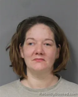 Mugshot of MISTY ANN KROGEL booked in Berrien County, Michigan on April 7, 2026