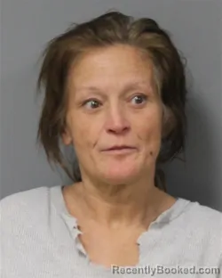 Mugshot of TONYA MARIE FLENNA booked in Berrien County, Michigan on April 8, 2026