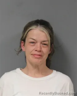 Mugshot of ERIN MIRANDA CLARK booked in Berrien County, Michigan on April 9, 2026