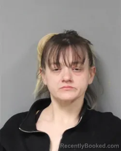 Mugshot of SHASTA ANNE MARIE HOUSEWORTH booked in Berrien County, Michigan on April 12, 2026