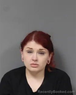 Mugshot of MEGAN MICHELLE JOHNSON booked in Berrien County, Michigan on April 12, 2026